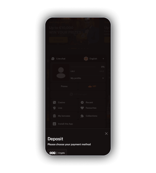 Wild Royal-kassa met kaarten, wallets, bankoverschrijving en cryptomunten.